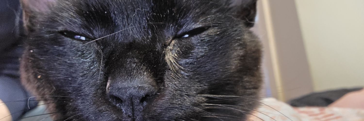 River (Beta Male) banner
