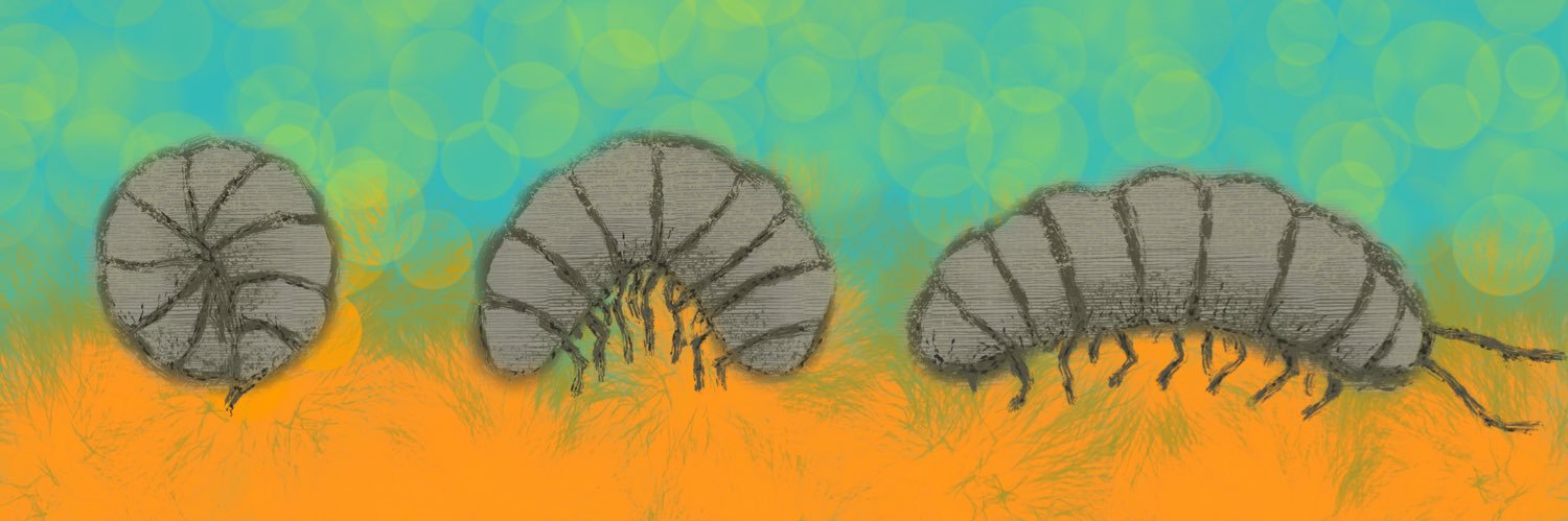 SolMoreShit's profile banner image