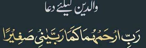 4d64eed18ca4466's profile banner image