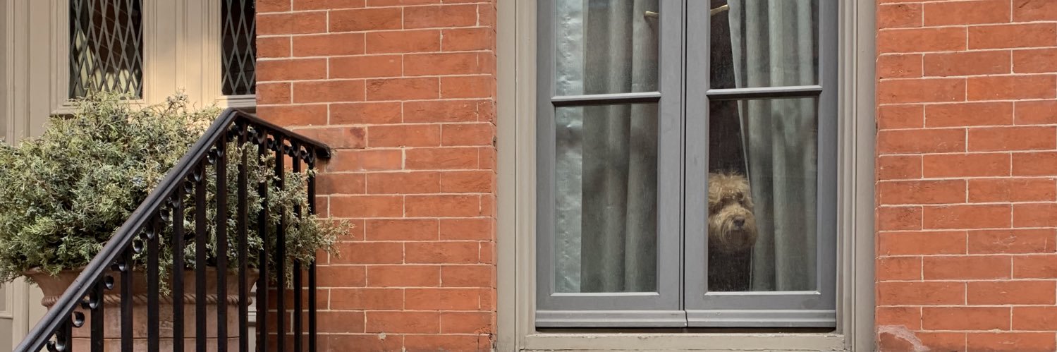 Benoît Tirant banner