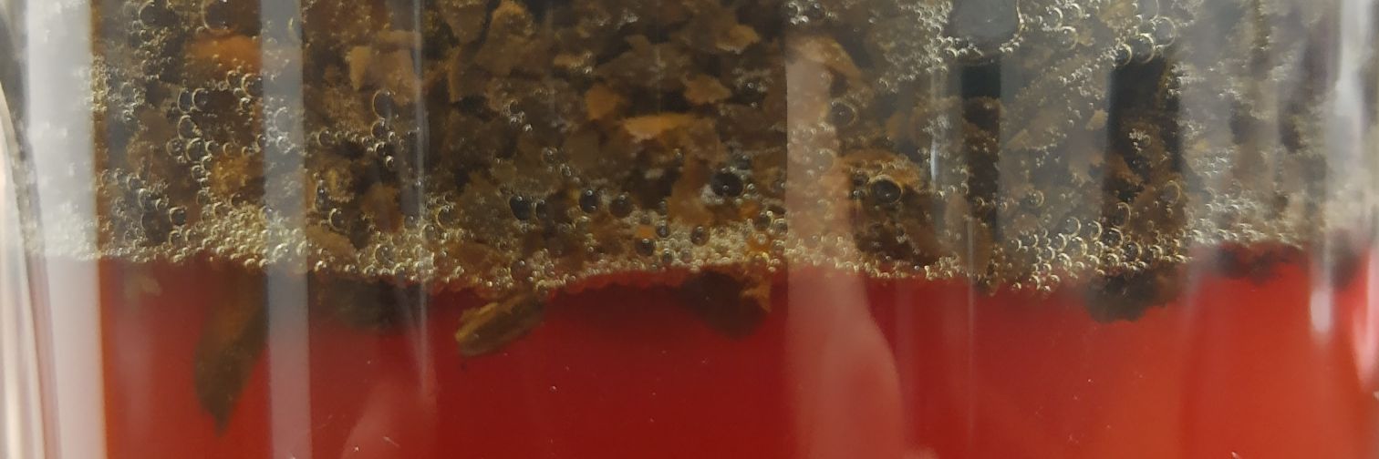 Godoteiro banner