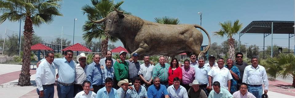 pinedapmx's profile banner image