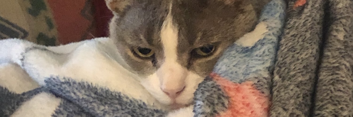 bug_hugs's profile banner image