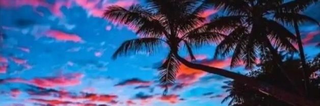 Jinny S.+other X acct @jks_termiteJKS banner