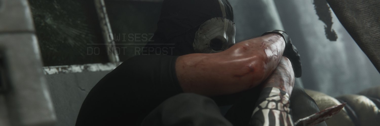 Dwisesz banner
