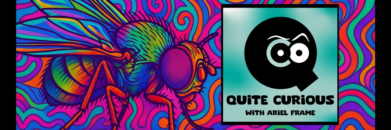 Ariel K. Frame banner