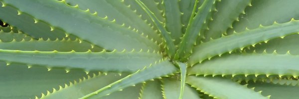 IndigenousKnow Profile Banner