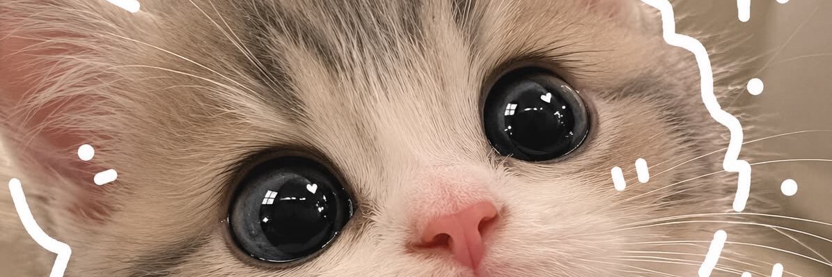 ZitahFix's profile banner image