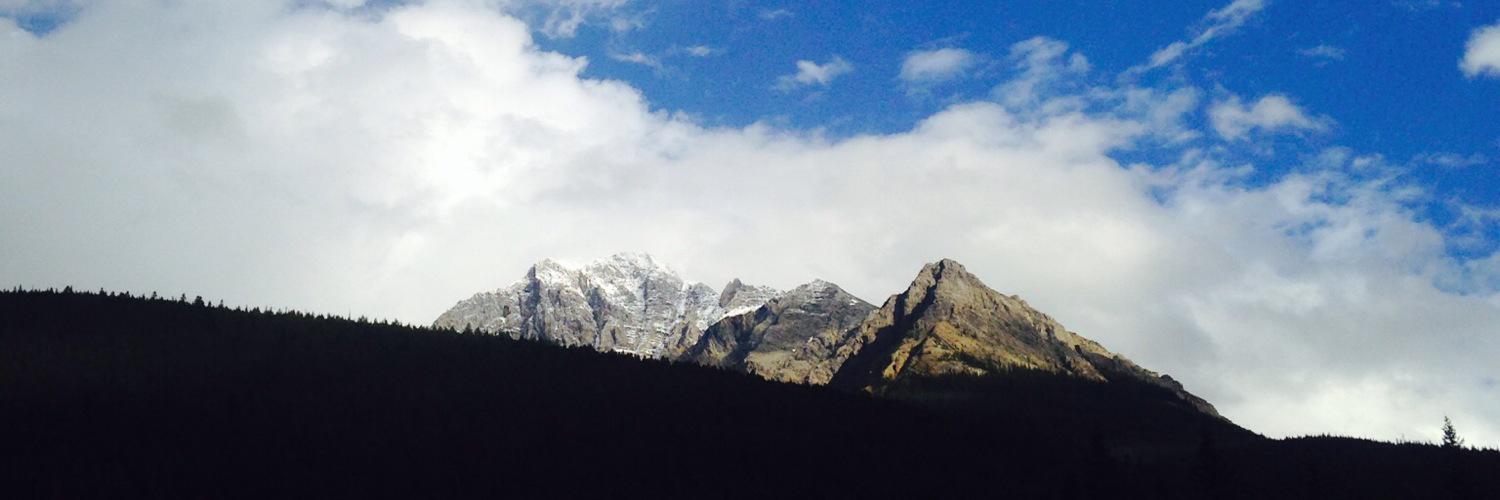 Colton_Stewart's profile banner image