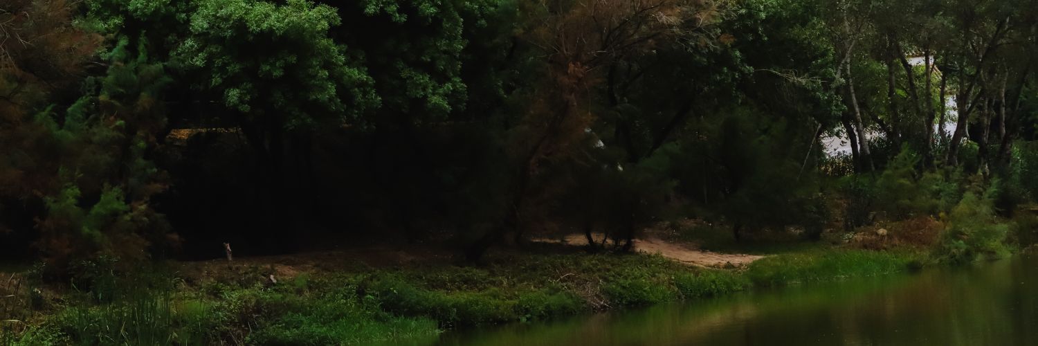 Pablotombi's profile banner image
