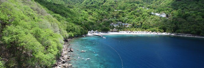 Frances I. Pimentel Nevares banner