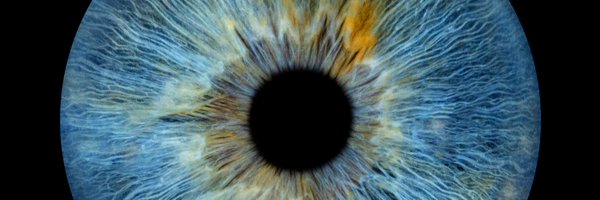 lisascottbcd Profile Banner