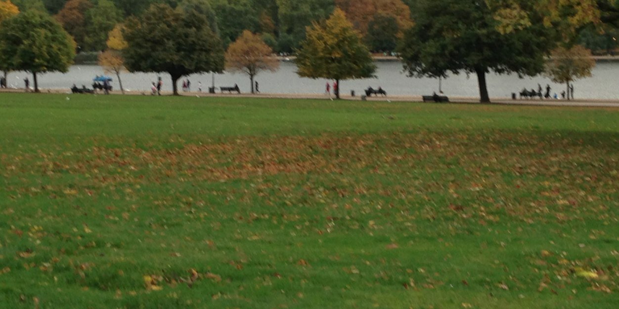 عواض الرشيدي banner