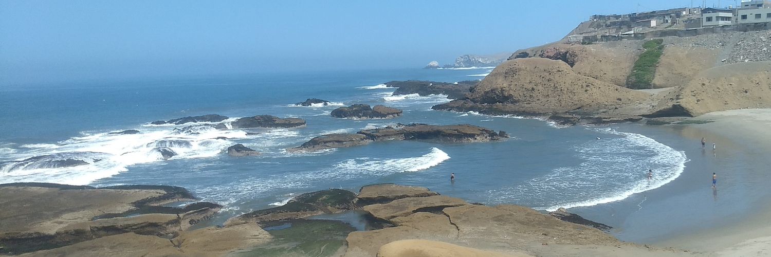 Carlos Arenas banner