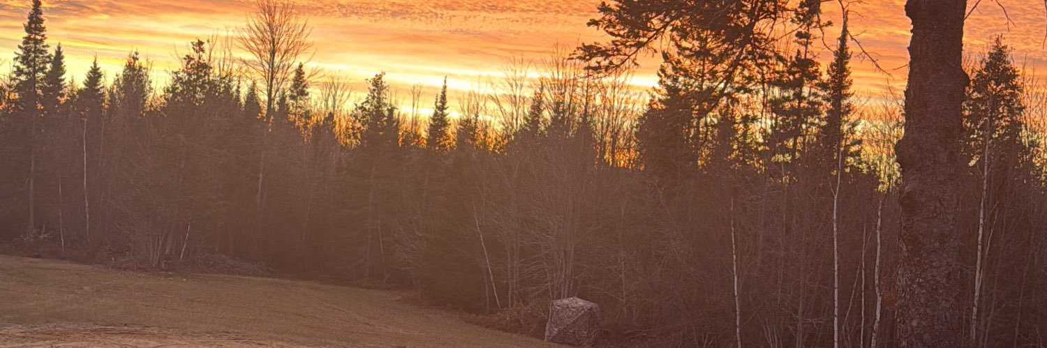 A〽️erica’s Team JBOS🌹🏆 banner