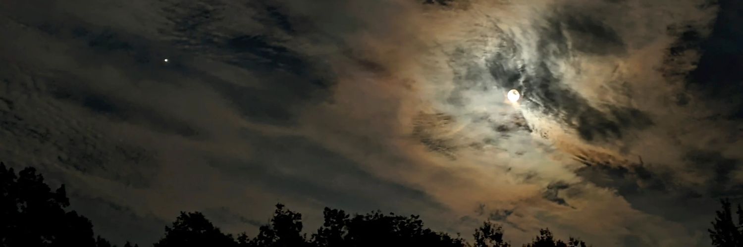 WickedQueenOni's profile banner image