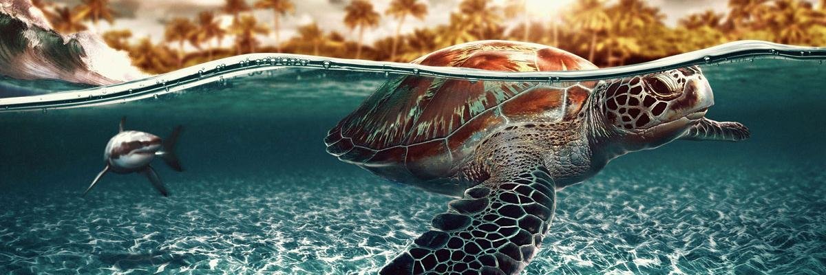 tsehein's profile banner image