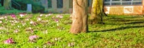 Peta D🦋 banner