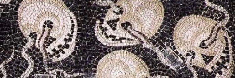 Devlin9000's profile banner image
