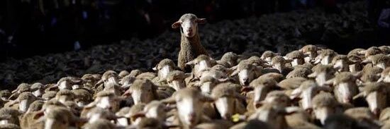 دوپــــامــــیــــن banner