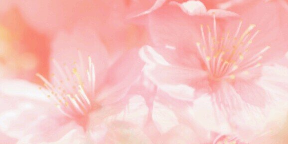 Liekevantulden's profile banner image