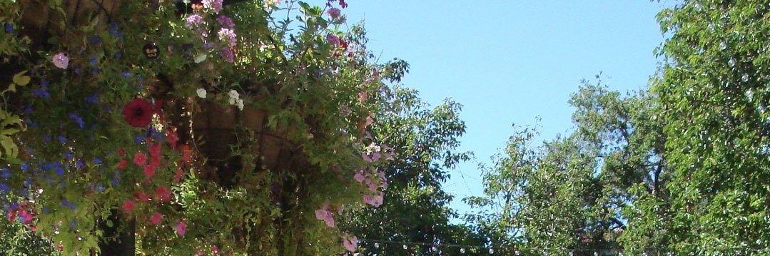 𝒥 banner