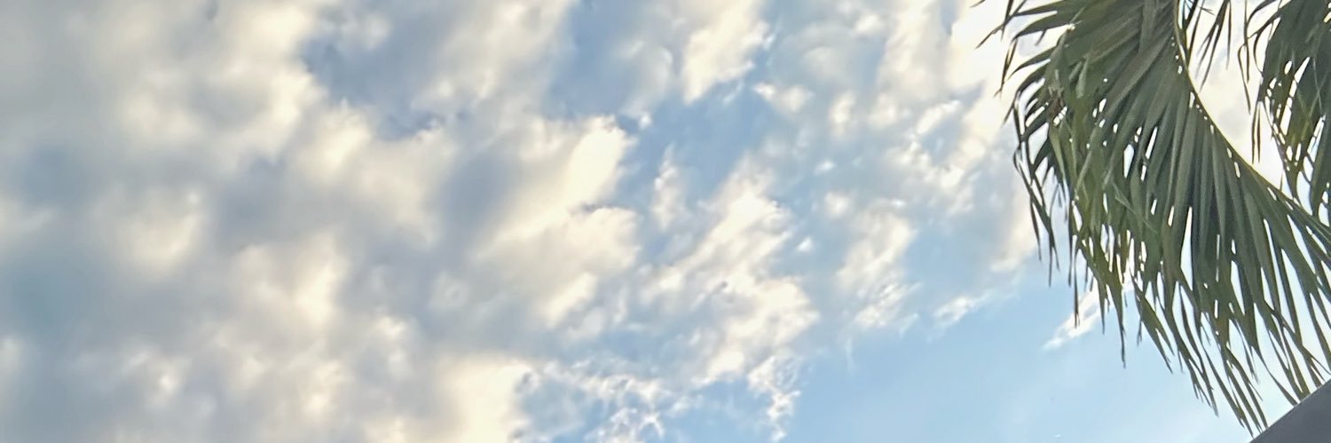 𝓙𝓸𝓼𝓮 𝓡𝓲𝓷𝓬𝓸𝓷 banner