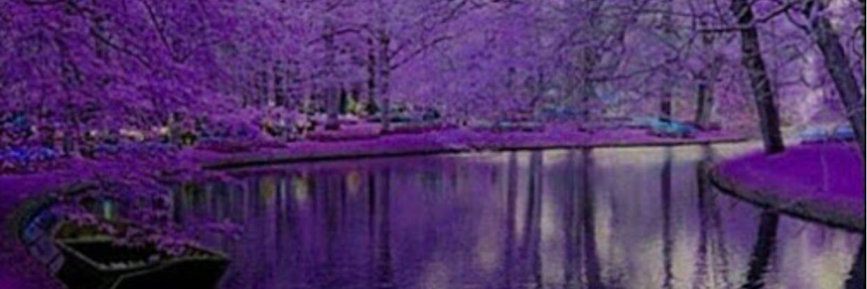 Ba9matGallb's profile banner image