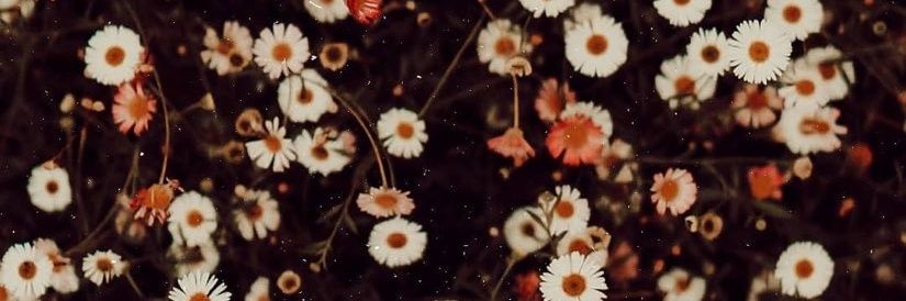 WhimsicalOrigin's profile banner image
