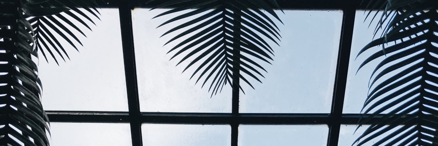 jessbstewart's profile banner image