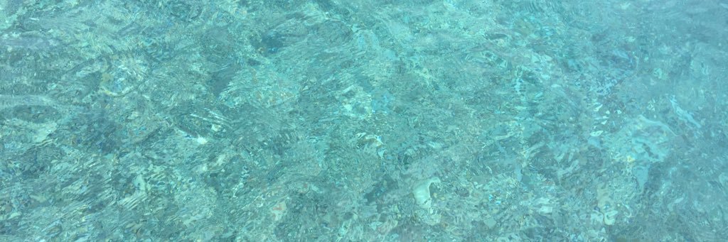 panta_rea's profile banner image