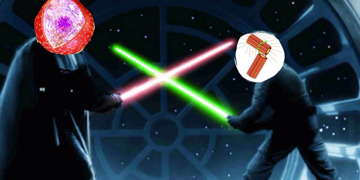 team_centriole's profile banner image