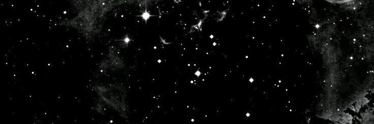 luubiglieri's profile banner image