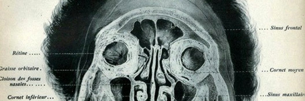 ✸ FloofHips ✸ banner