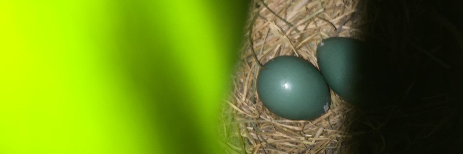 Sean Williams banner