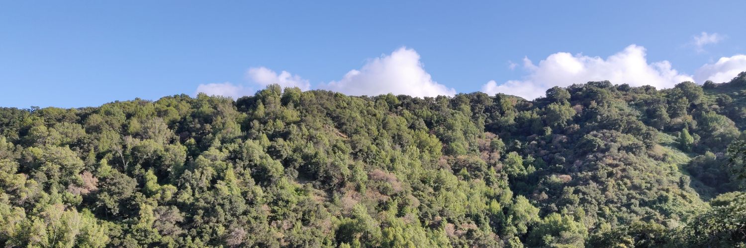 yoursree_'s profile banner image
