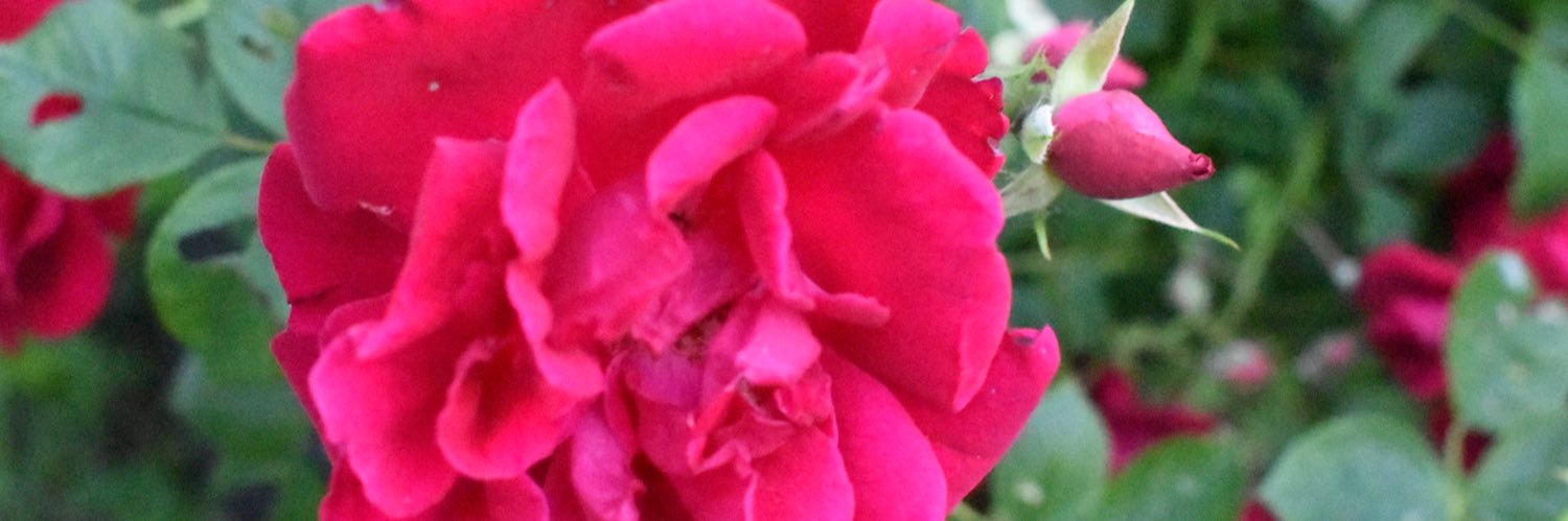 manda8091's profile banner image