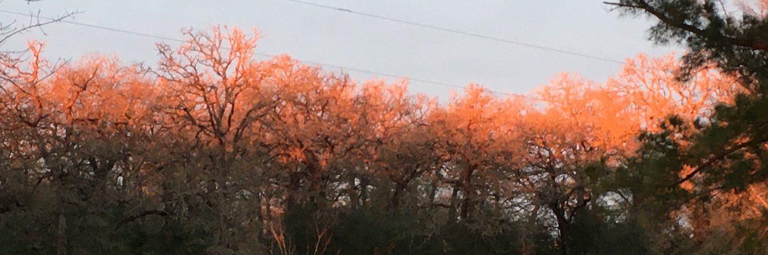 onthebryteside's profile banner image