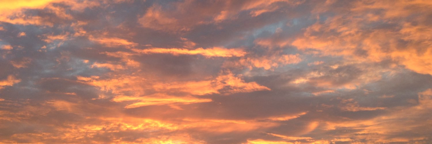 SleepyLydia's profile banner image