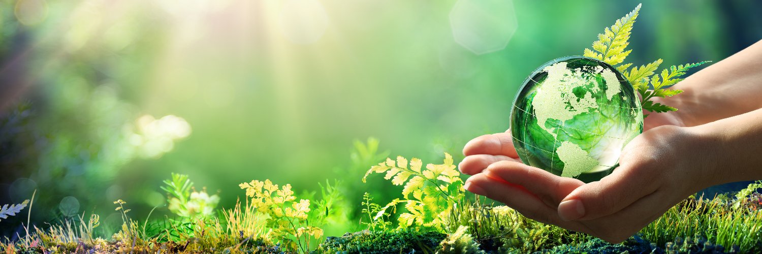 Lisa Sweeting | Green Sense Events banner