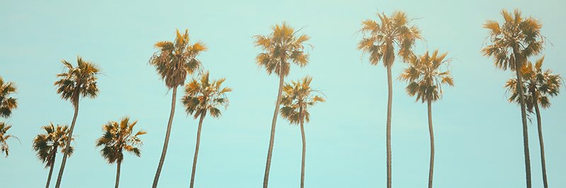 pacetti13's profile banner image