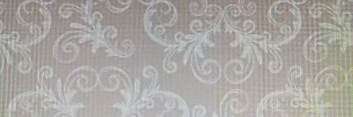 nancylof1's profile banner image