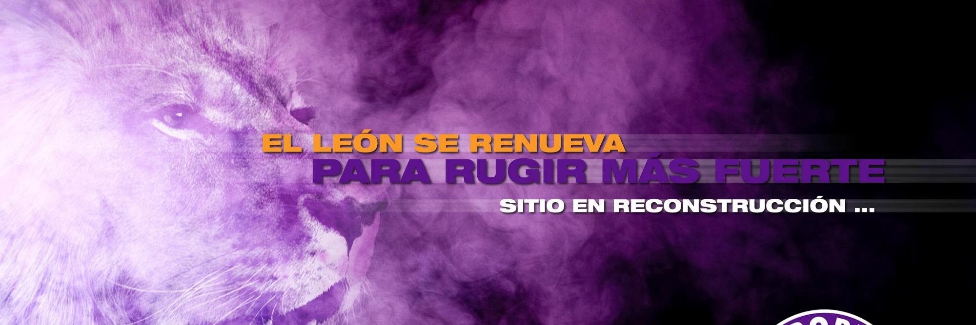 Deportes Concepción banner