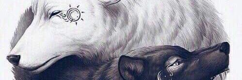 ilobum's profile banner image