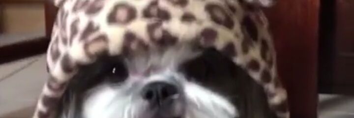Miladay23's profile banner image