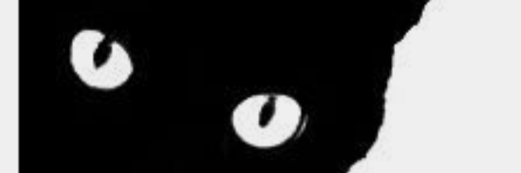 renzamar's profile banner image