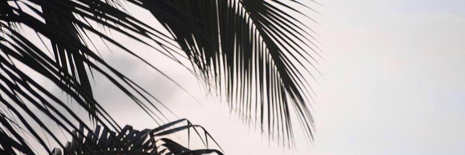 seminerdem's profile banner image