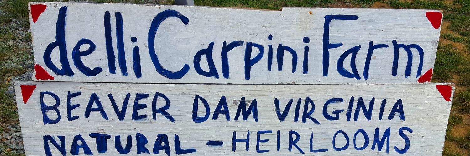 dcarpinifarm's profile banner image
