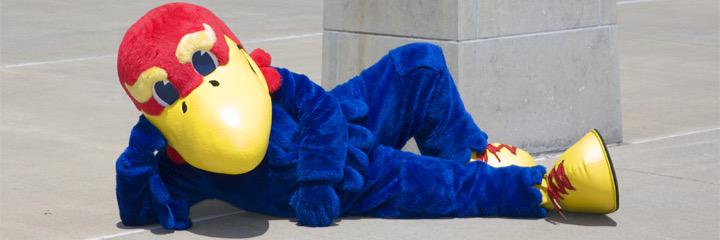 stephaniehoeman's profile banner image