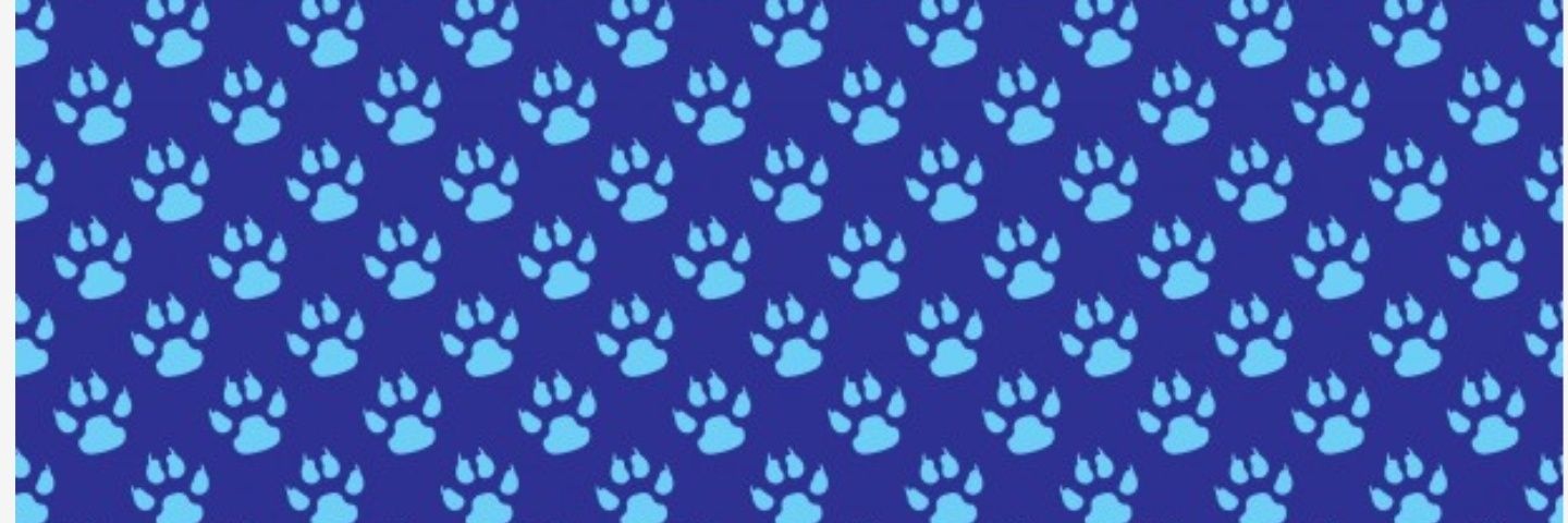 PupBluey🐶 banner